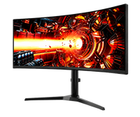 Gaming Monitors (3 WEEKS BACKORDER)