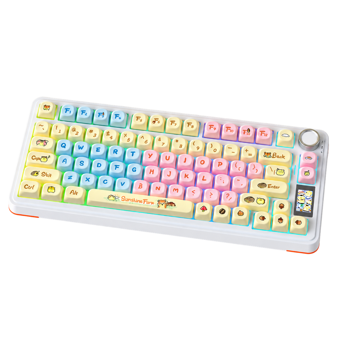 Keyboards (3 WEEKS BACKORDER)