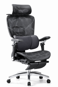 (PWP ITFAIR 2026) ERGONOMIC CHAIRS