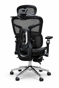 Omnicore Ergonomic Chair