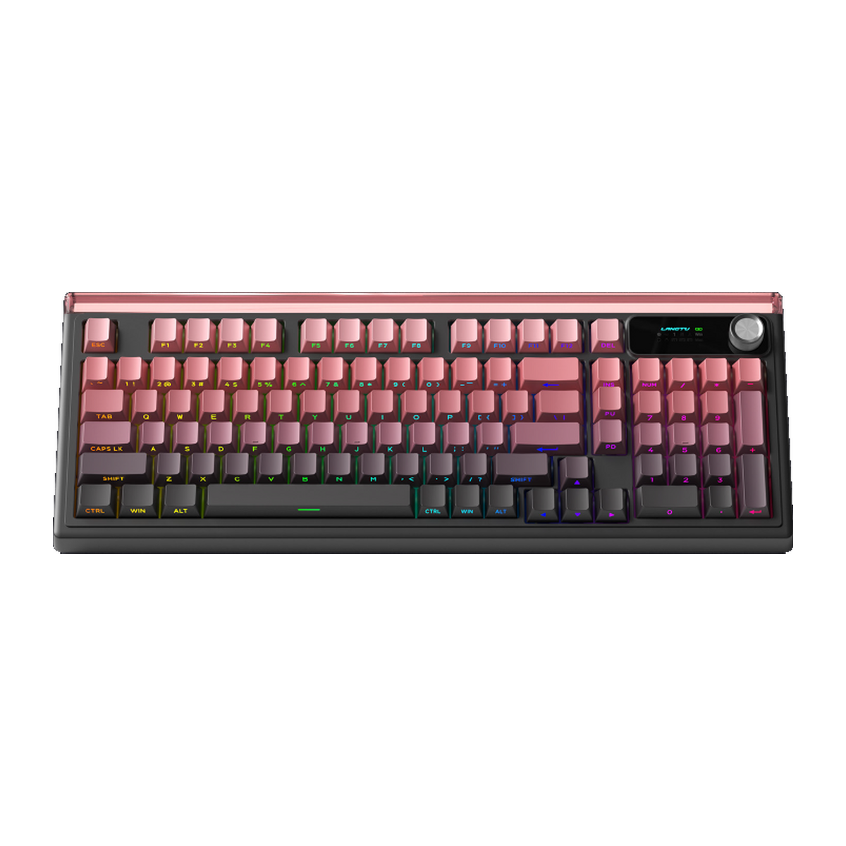Keyboards (3 WEEKS BACKORDER)