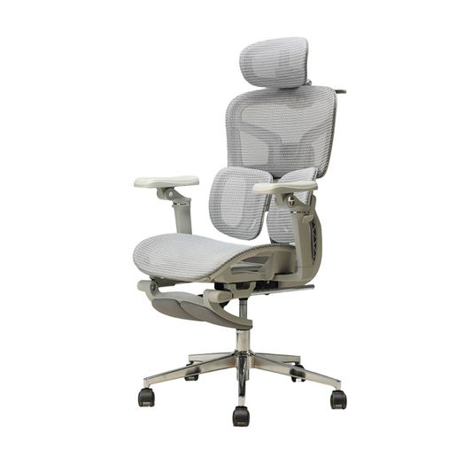 [EXTRA $70 OFF + FREE WHEELS UPGRADE] Omnicore Ergonomic Chair