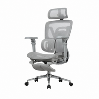 (ITFAIR 2026) ERGONOMIC CHAIRS PROMO