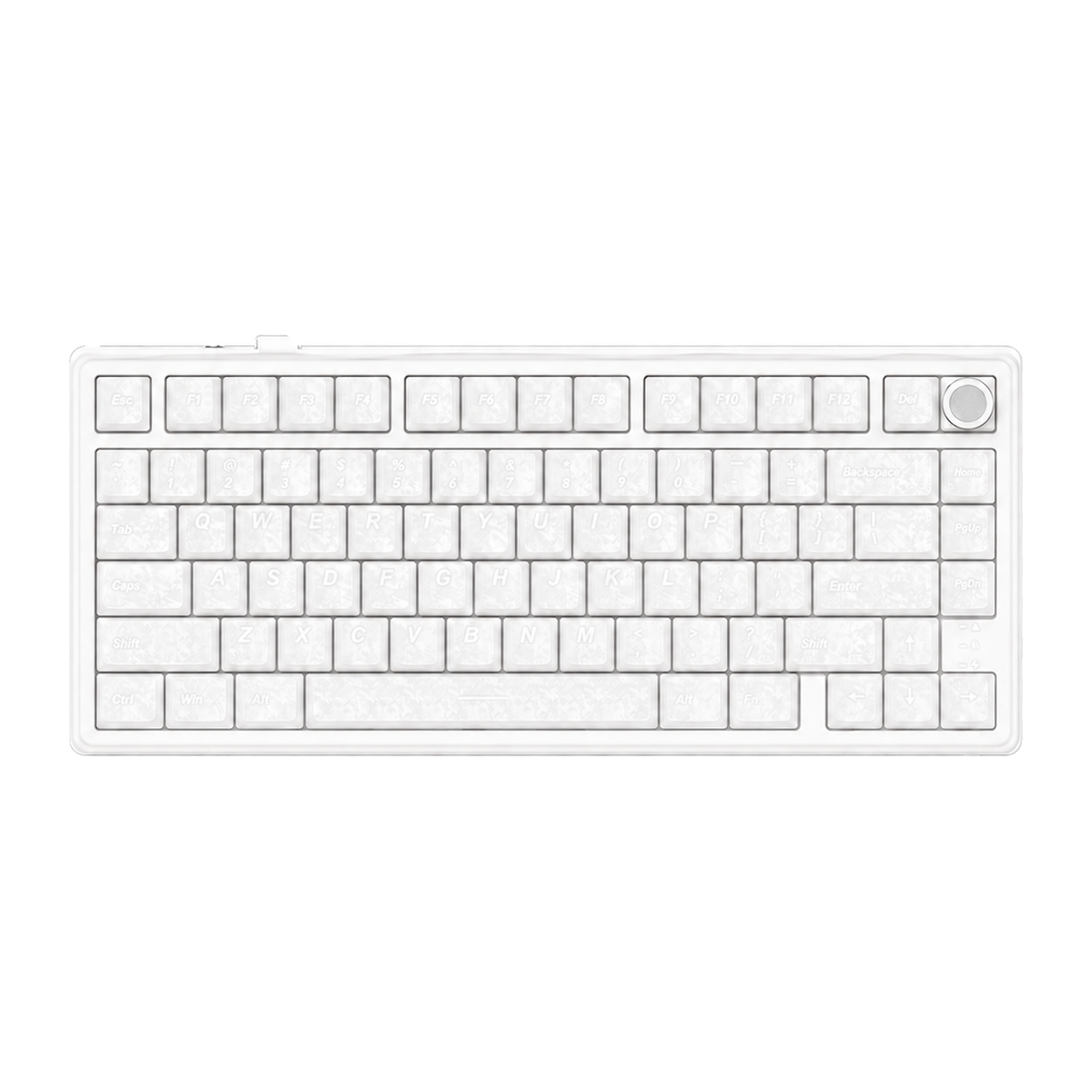 Keyboards (3 WEEKS BACKORDER)