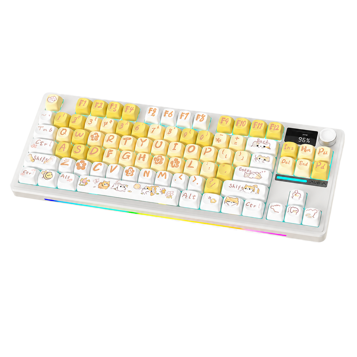 Keyboards (3 WEEKS BACKORDER)