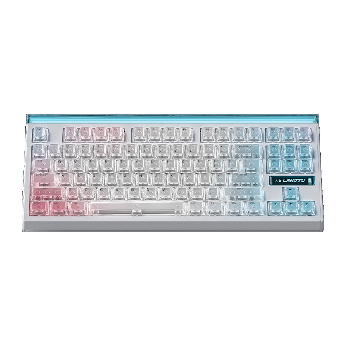 Keyboards (3 WEEKS BACKORDER)