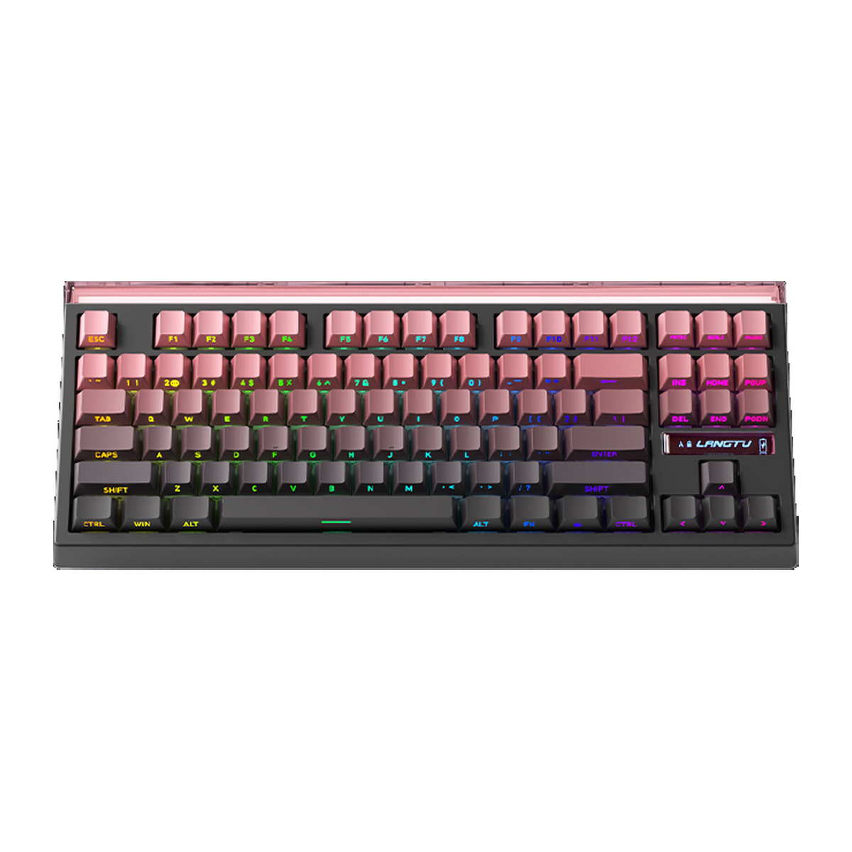 Keyboards (3 WEEKS BACKORDER)