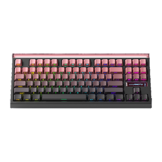 Keyboards (3 WEEKS BACKORDER)