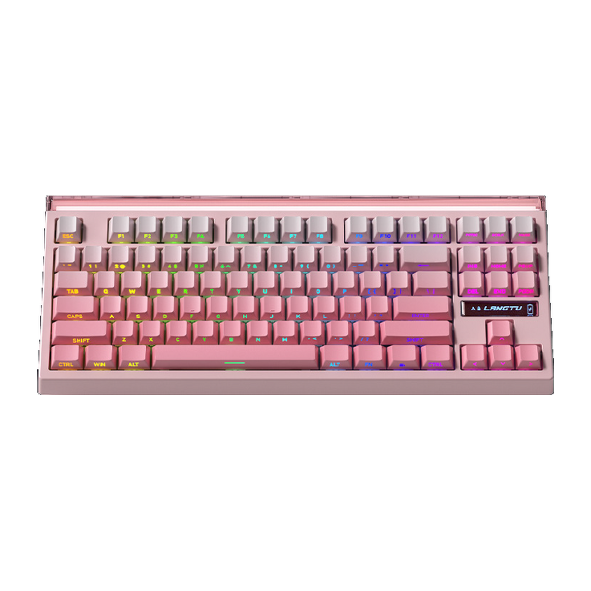 Keyboards (3 WEEKS BACKORDER)