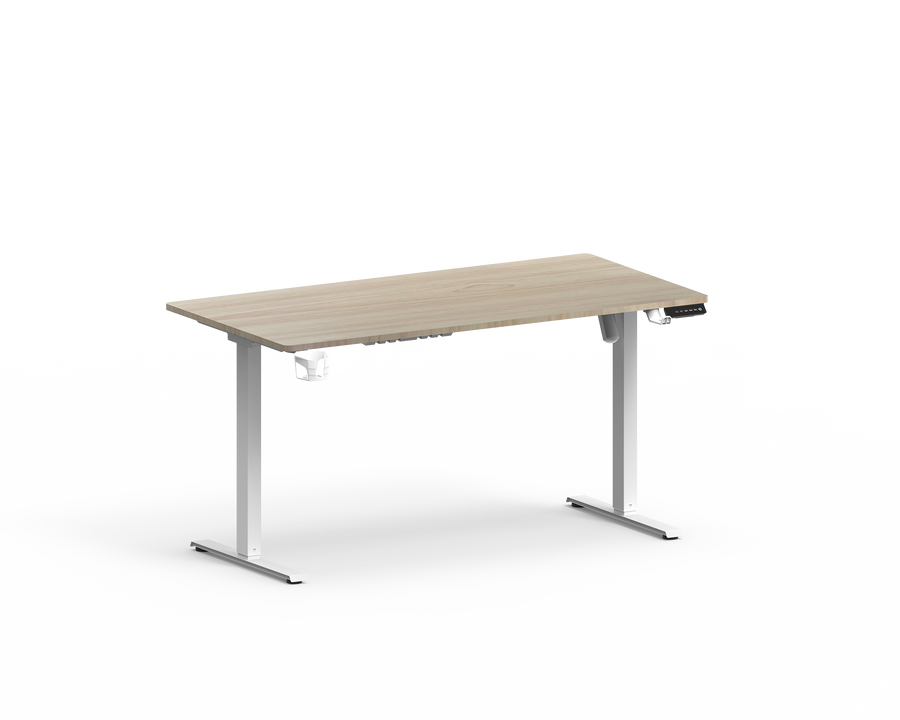 (ITFAIR 2026 PROMO) ESSENTIAL SINGLE MOTOR STANDING DESK